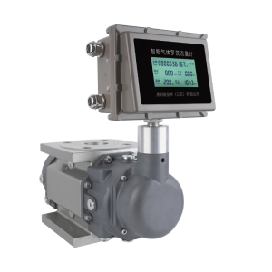 Đồng hồ đo lưu lượng khí kiểu Roots thông minh HFR